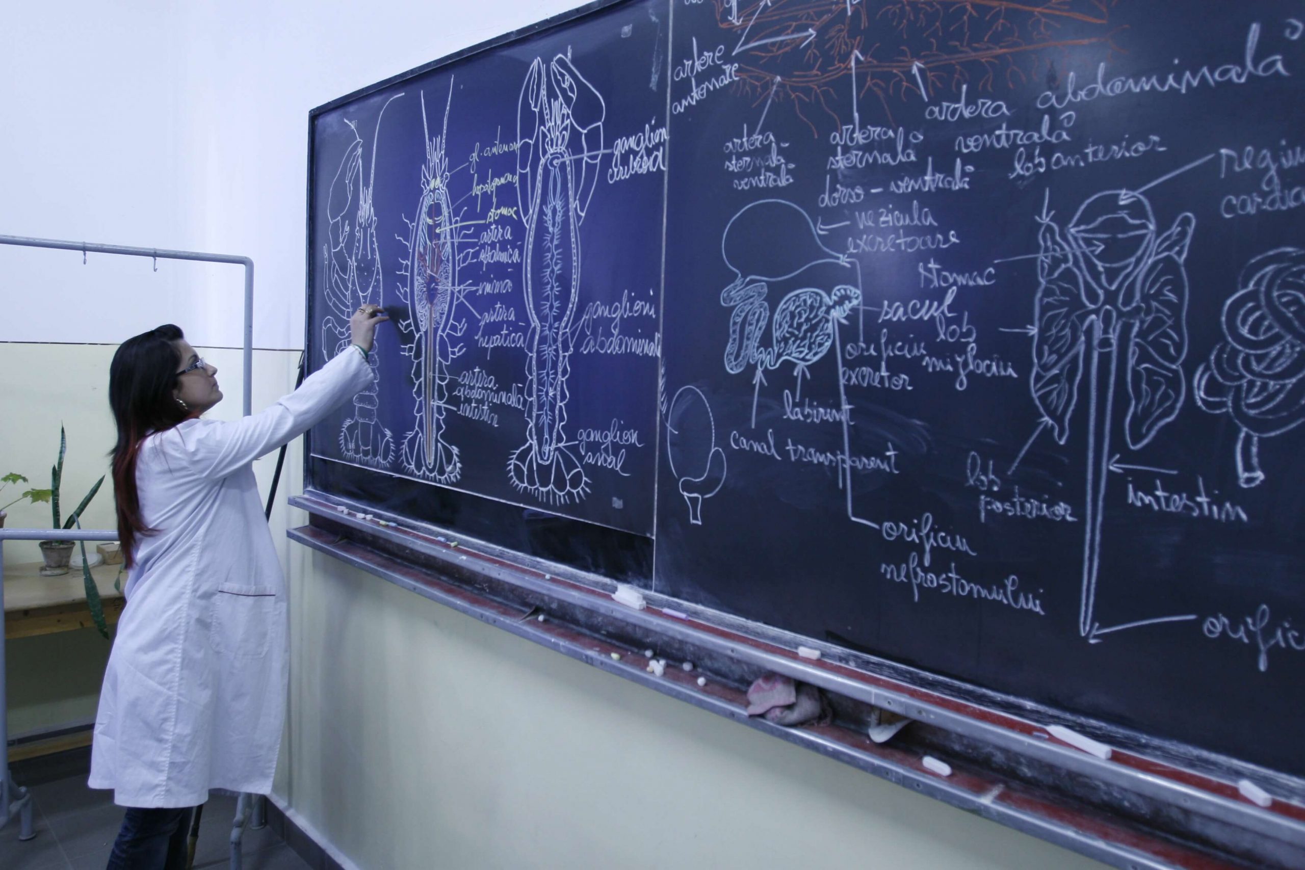 Démocratisation biologie